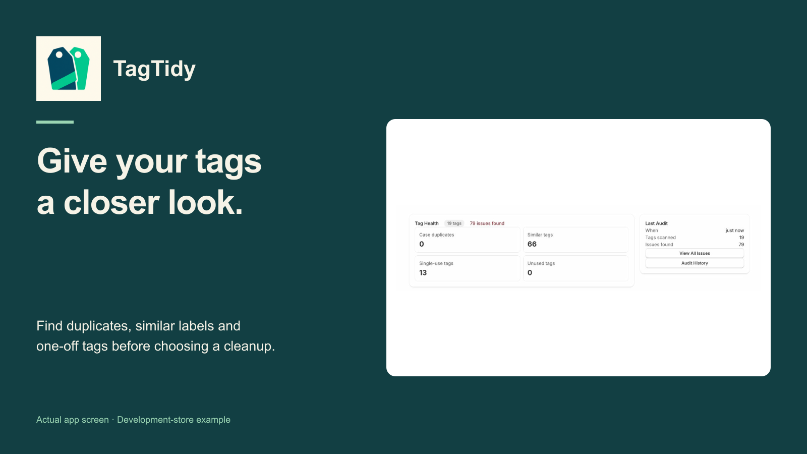 TagTidy's new jade logo and a real catalog tag-health summary